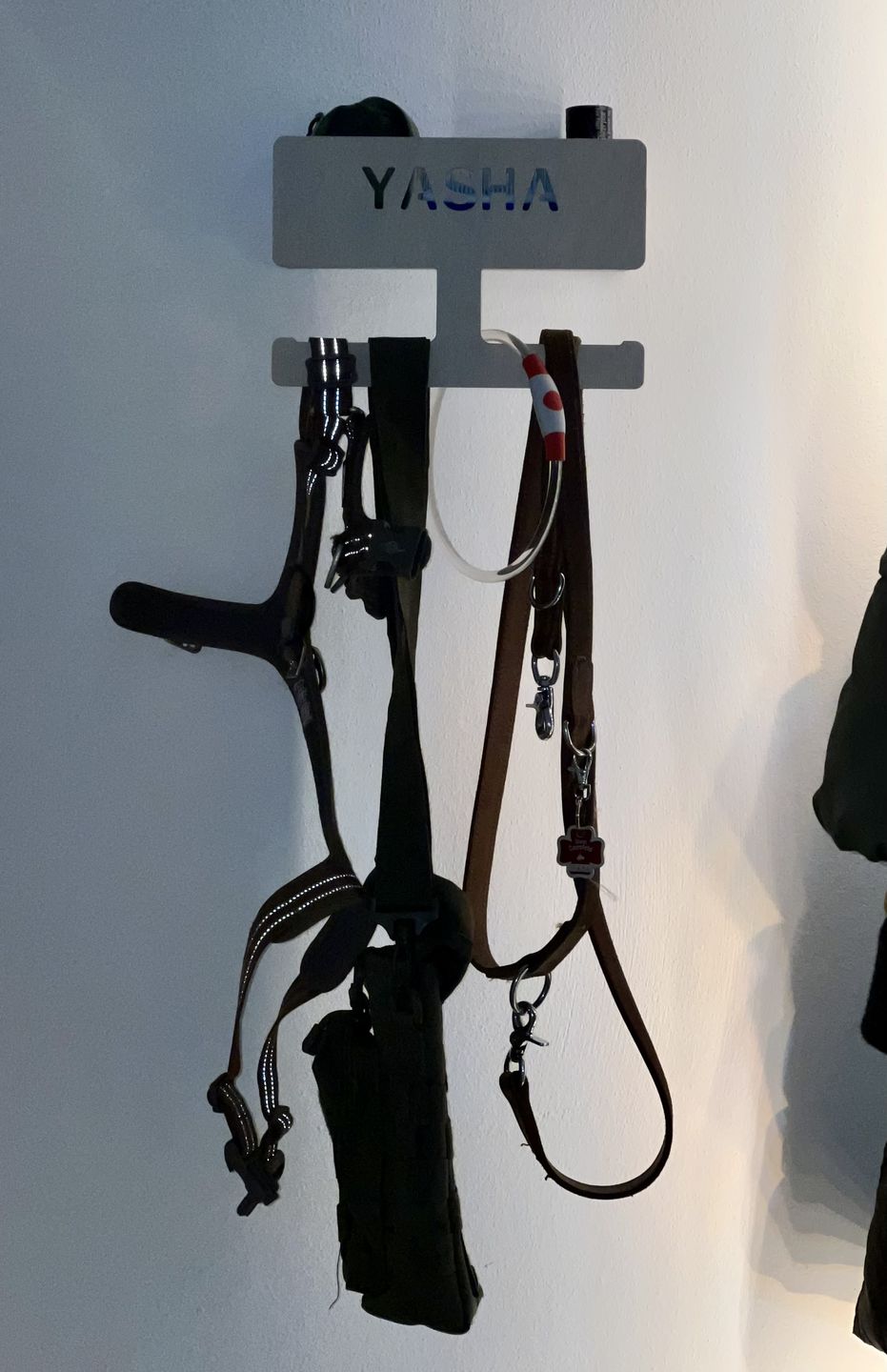 Customer photo review of PERSONALISIERUNG: Hundegarderobe L