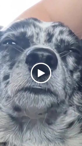 Customer video review of Mountain Silicone