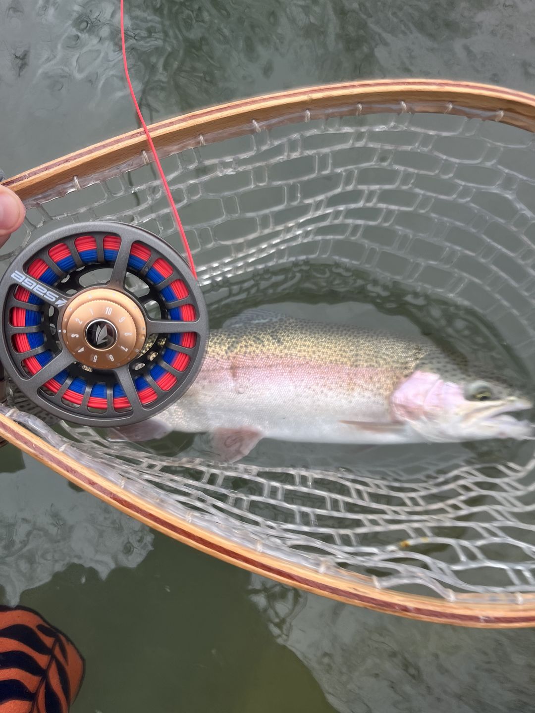 Customer photo review of Sage Spectrum C Fly Reel