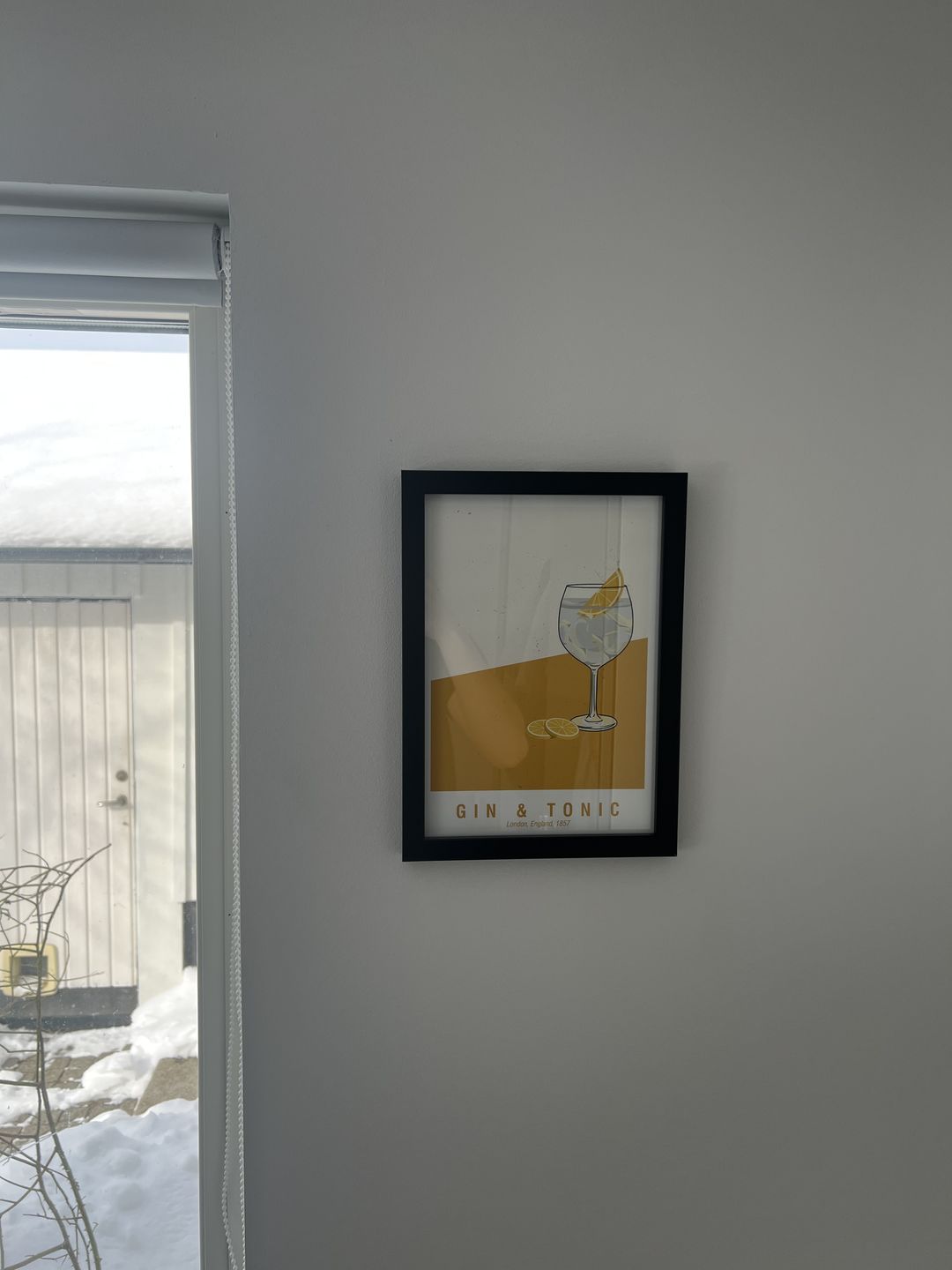 Customer photo review of The Gin & Tonic Poster