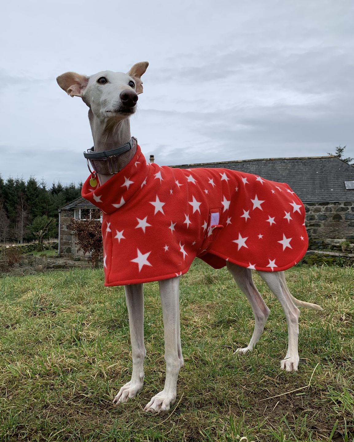 Customer photo review of White Stars Anti Pill Polar Fleece Fabric