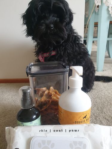 Customer photo review of Puppy Chews