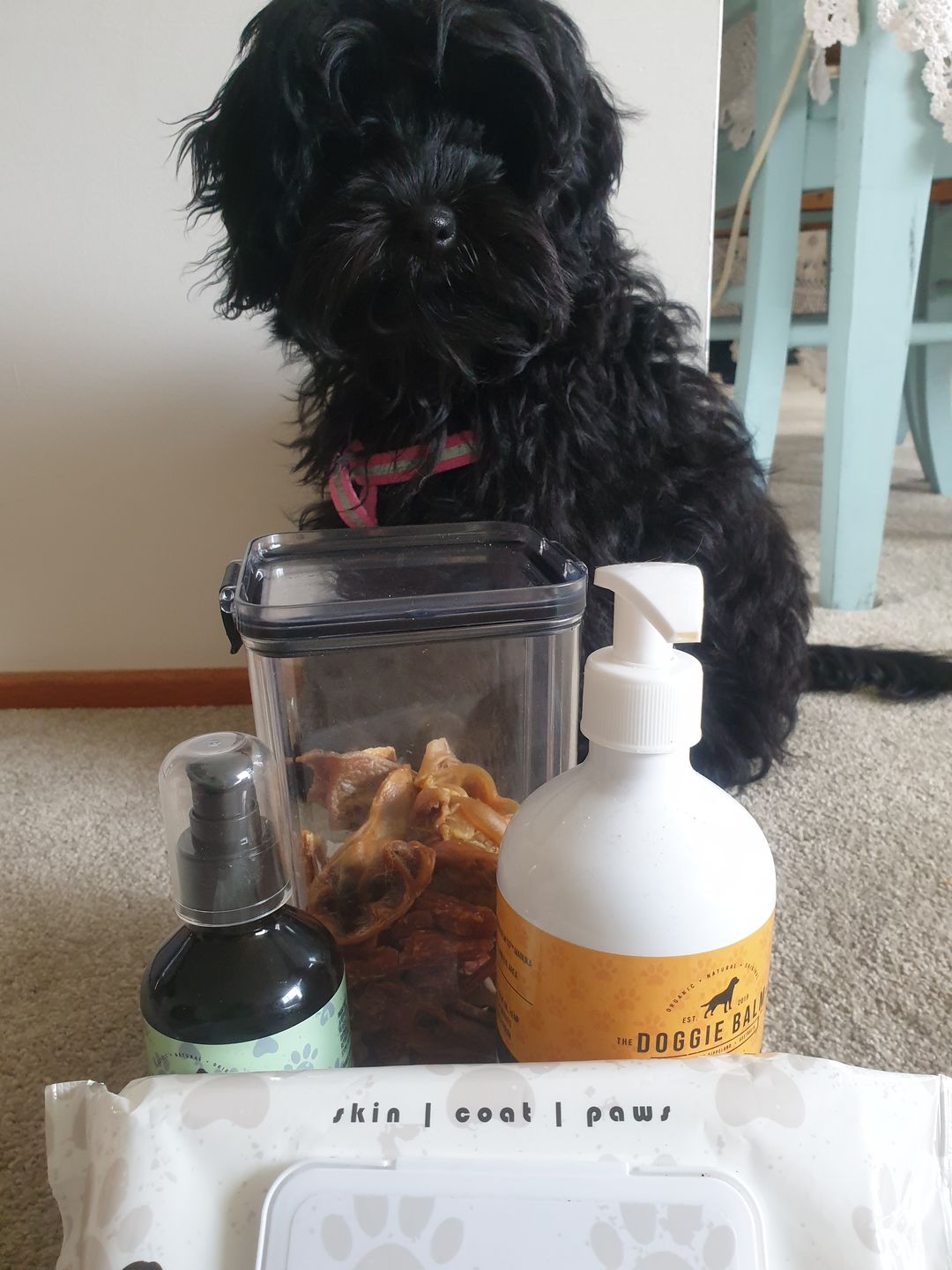 Customer photo review of Puppy Chews