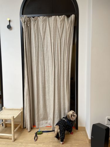 Customer photo review of Winter Suit for Dogs