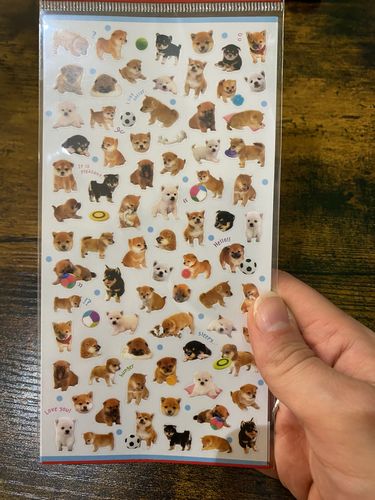 Customer photo review of MW Seal 74449 Bubble Wrap Shiba