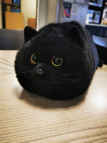 Customer photo review of Fluffy Black Cat Bag Cat Purse