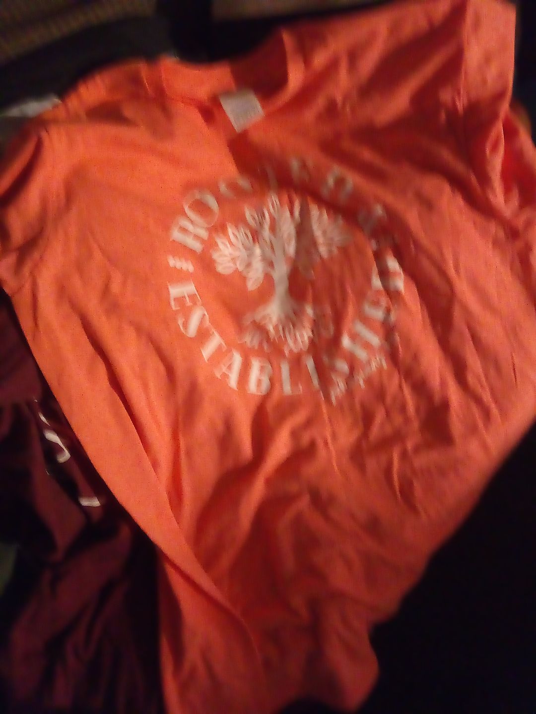 Customer photo review of Mystery Shirt
