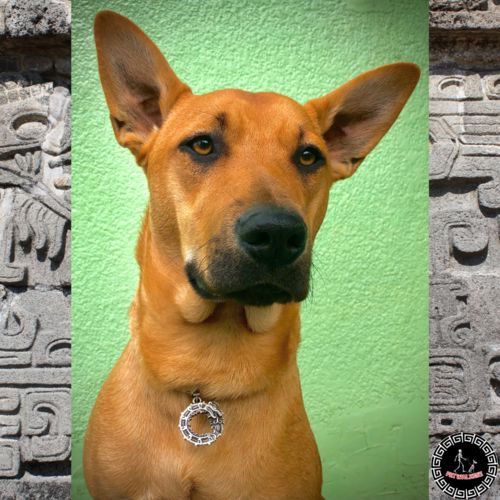 Customer photo review of Quetzalcoatl Pendant