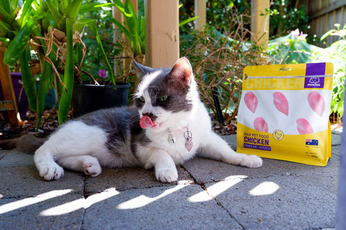 Customer photo review of Michu Freeze Dried Raw Pet Food 150g