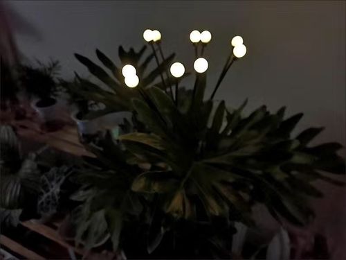 Customer photo review of Leddi™ FireFlies I Garden Light Solar Vandtæt