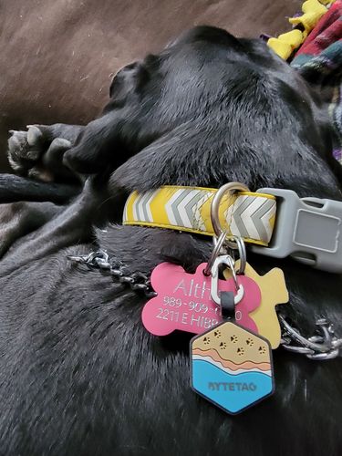 Customer photo review of Beach Silicone