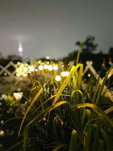 Customer photo review of Leddi™ FireFlies I Garden Light Solar Vandtæt