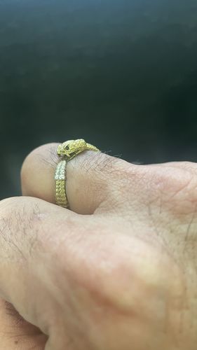 Customer photo review of Ouroboros Ring
