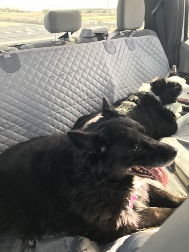 Customer photo review of Waterproof Non-Slip Car Seat Hammock Cover With Pockets, Side Flaps, Headrest Straps, Seat-Anchors, & Mesh Window (+FREE SAFETY BELT!)