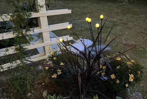 Customer photo review of Leddi™ FireFlies I Garden Light Solar Vandtæt