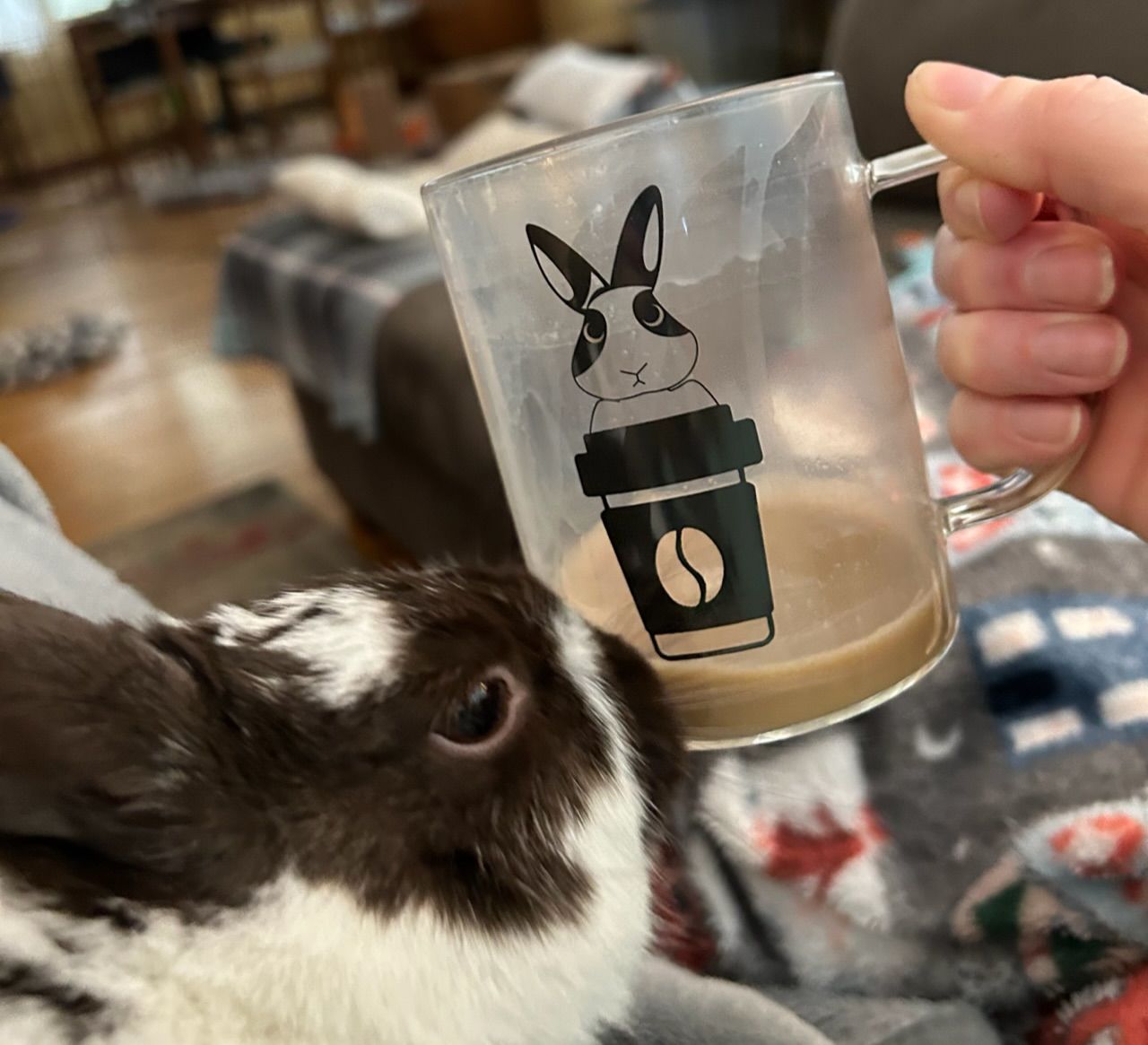 Customer photo review of Breakfast Blend (Bean)