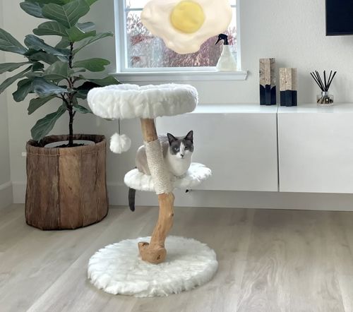 Customer photo review of Michu Selected Real Wood Cat Tree, Small