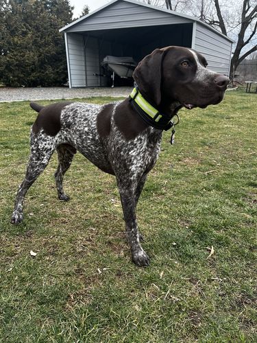 Customer photo review of Explorer Silicone