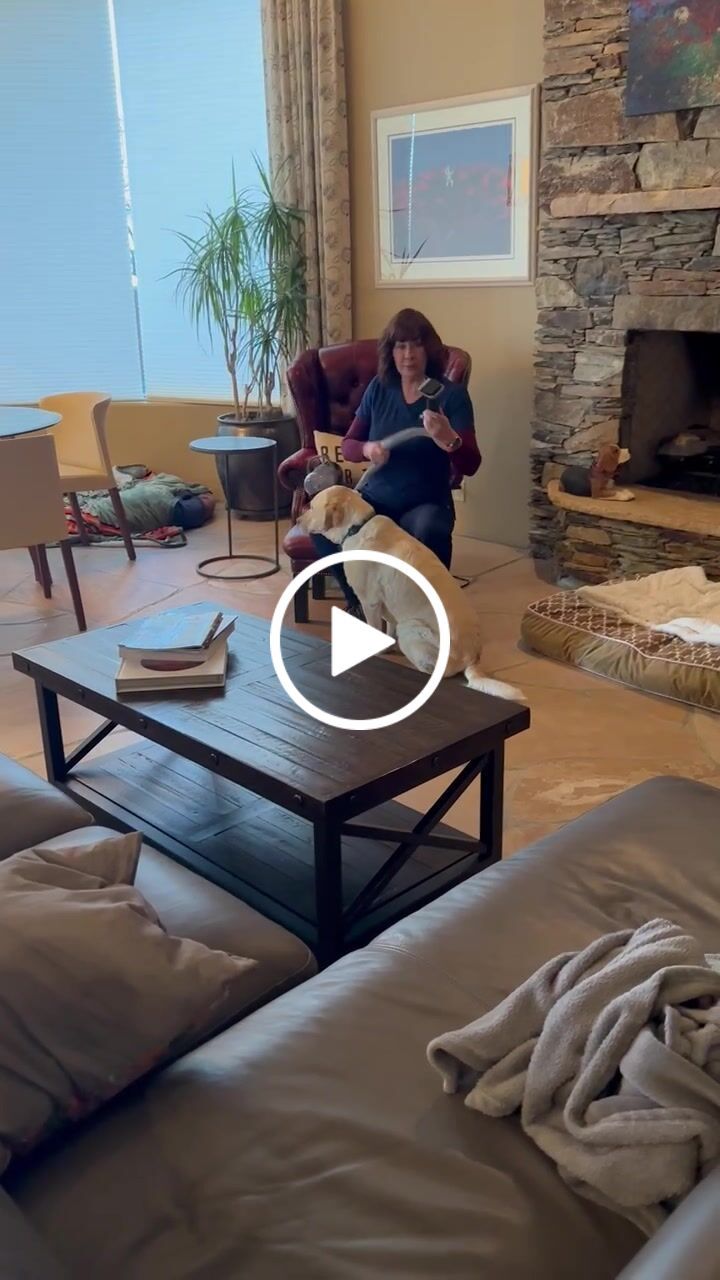 Customer video review of Original Pet Grooming Vacuum Kit
