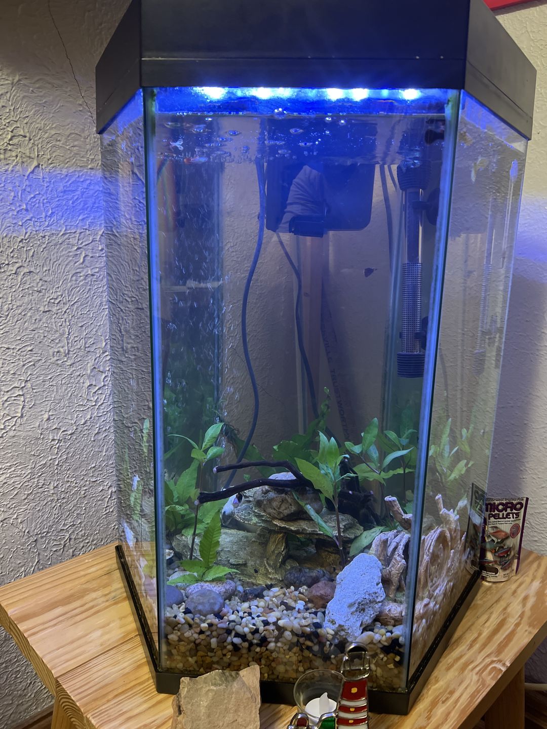 Customer photo review of Tidal Power Filters From Seachem/Sicce