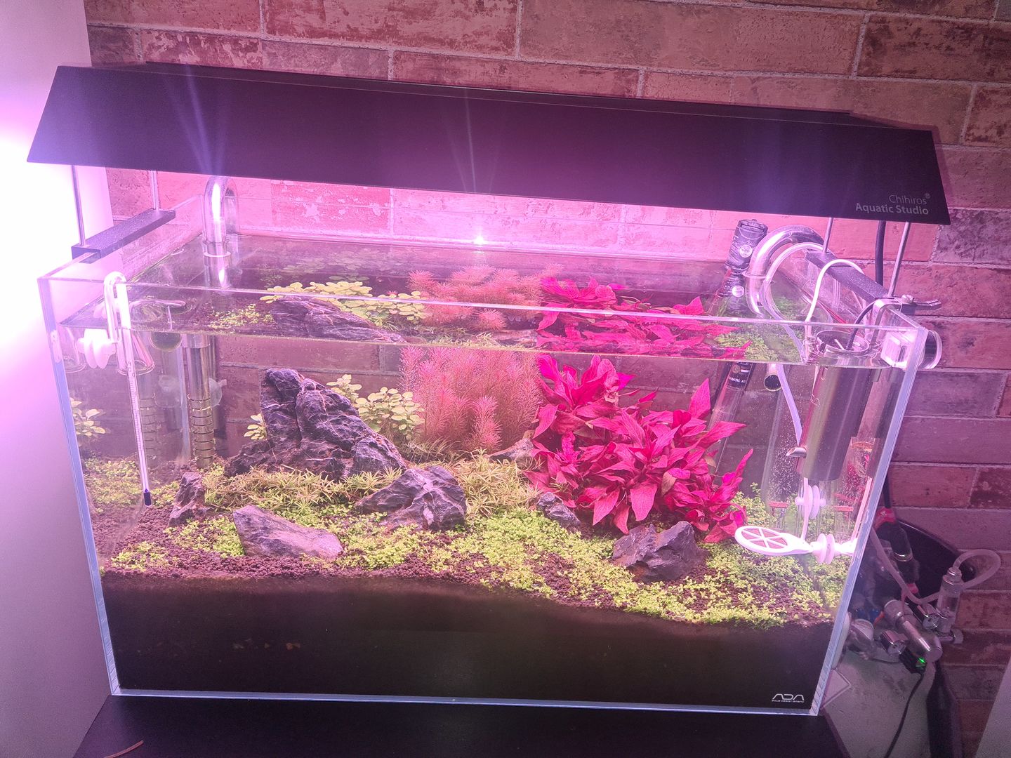Customer photo review of Chihiros WRGB II pro Shade with mirror