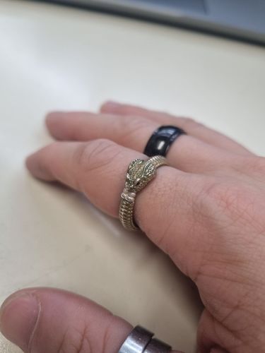 Customer photo review of Ouroboros Ring