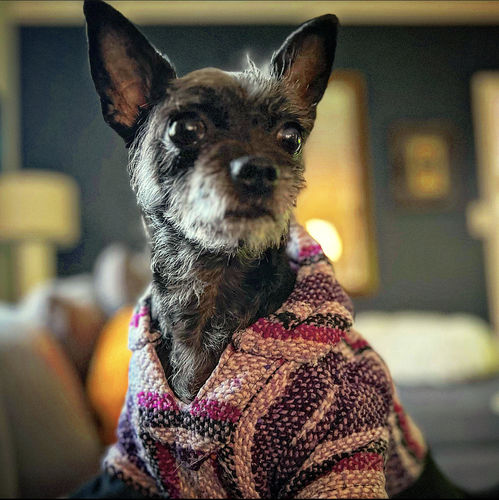 Customer photo review of Playa Poncho - Surprise Color