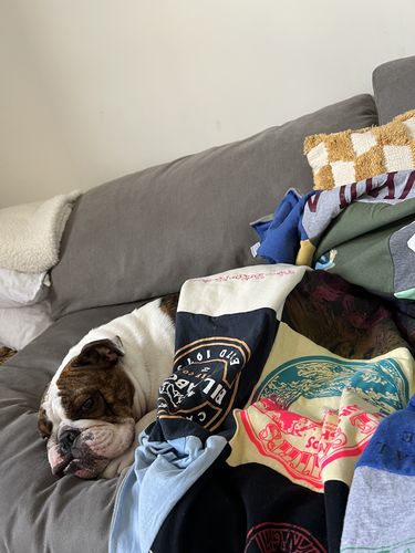 T-shirt quilt by Liah from NY