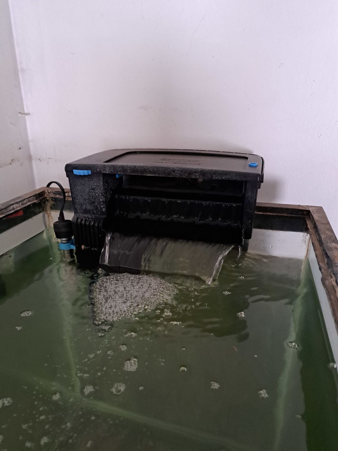 Customer photo review of Tidal Power Filters From Seachem/Sicce