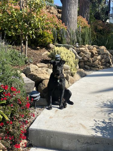 Customer photo review of Green Silicone