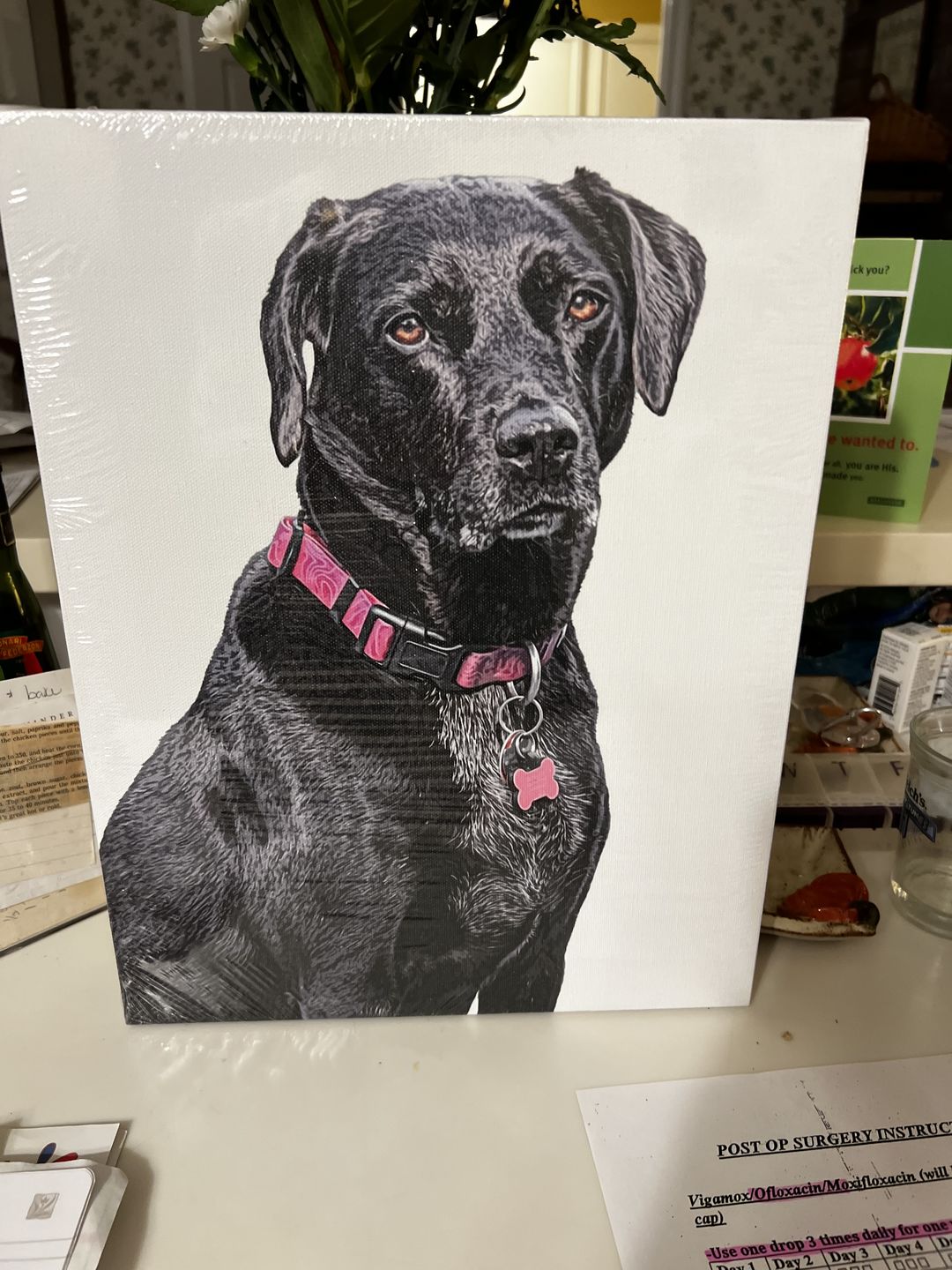 Customer photo review of Custom Pet Art Canvas Wrap