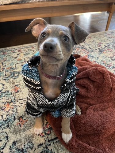 Customer photo review of Playa Poncho - Surprise Color