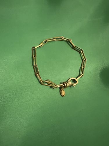 Customer photo review of Long Link Bracelet (Gold) - Limited Edition