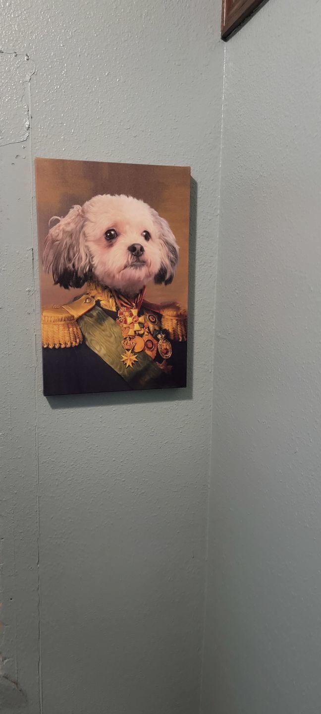 Customer photo review of Le Vice-Amiral