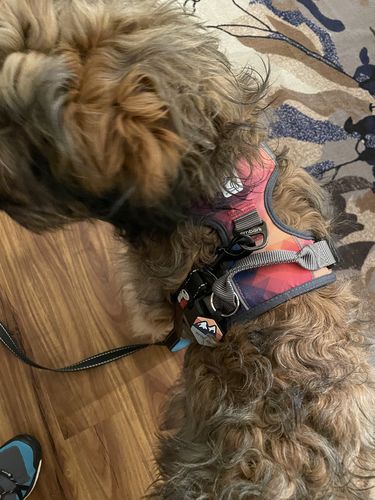 Customer photo review of Explorer Silicone