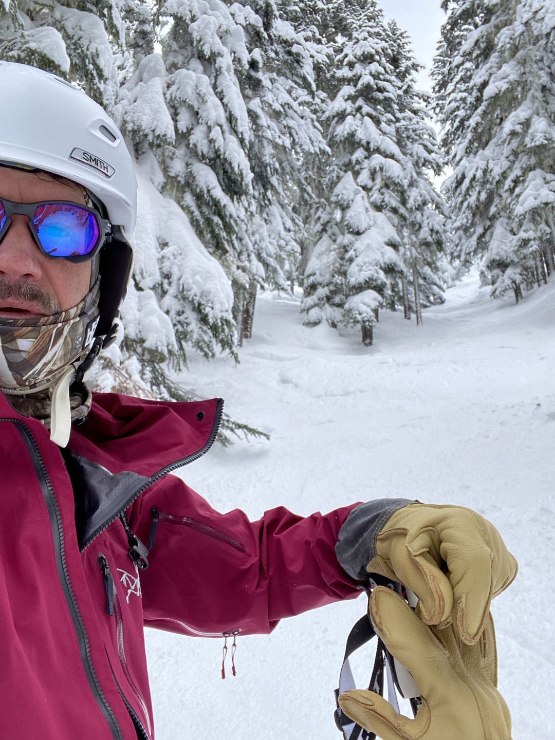 Customer photo review of Uphill Skier