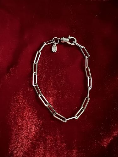 Customer photo review of Long Link Bracelet (Silver) - Limited Edition