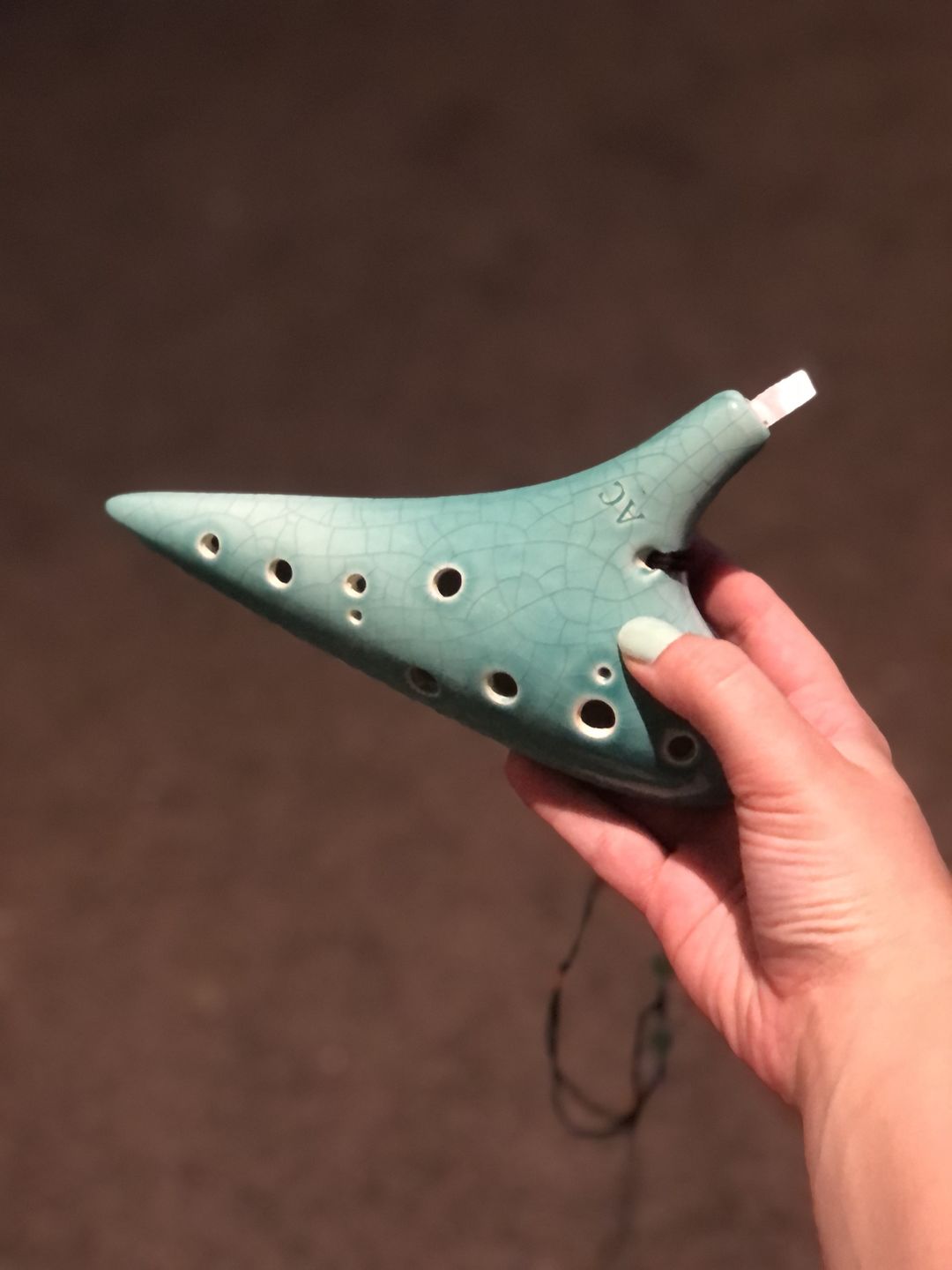 Customer photo review of Ocarina 12 Hole Alto C w/Bag Light Blue