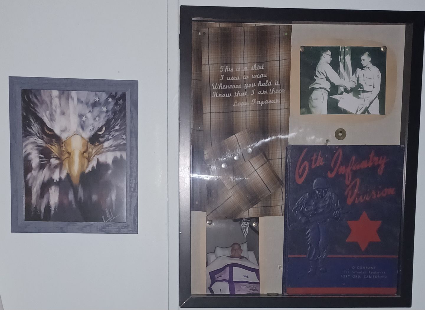 Customer photo review of Stripes of Freedom