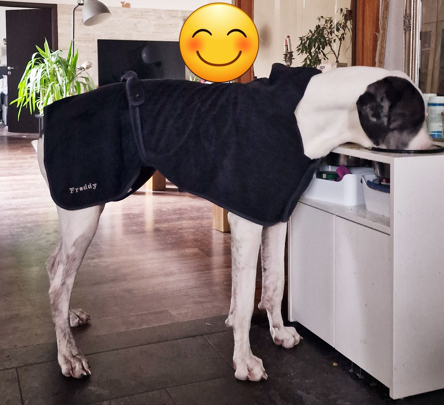 Customer photo review of Persönliche Gravur - Premium Hunde Bademantel