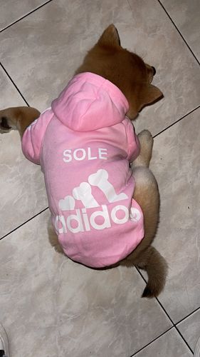 Customer photo review of Felpa "Adidog" Rosa Personalizzabile con nome
