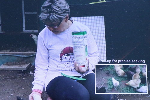 Customer video review of GrubTerra Dried Larvae