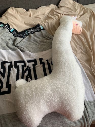 Customer photo review of Alpaca Cuddle Buddy Plush Pillow