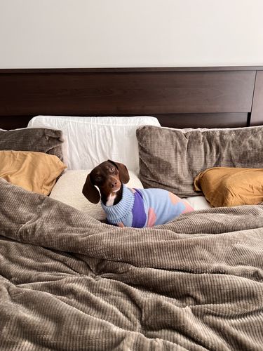 Customer photo review of Groovy sweater