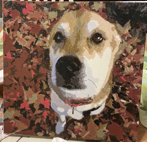 Customer photo review of Create a Custom Pet Paint by Numbers