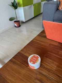 Customer photo review of Chantilly de Mangue CARE
