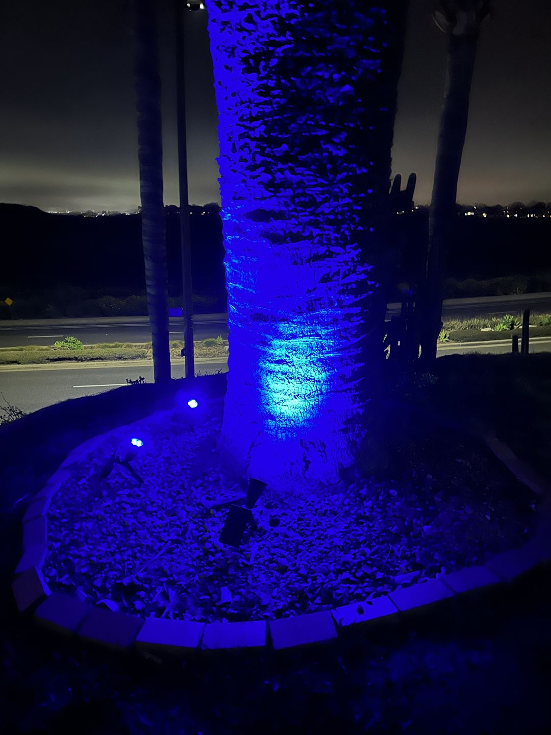 Customer photo review of TSUN 4/7 LEDs Outdoor Solar Spot Lights