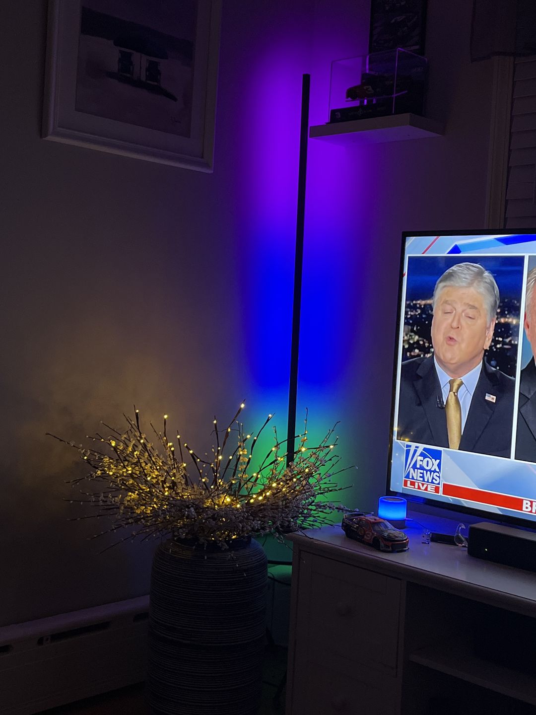 Customer photo review of LED Color Changing Light — LitLamp™