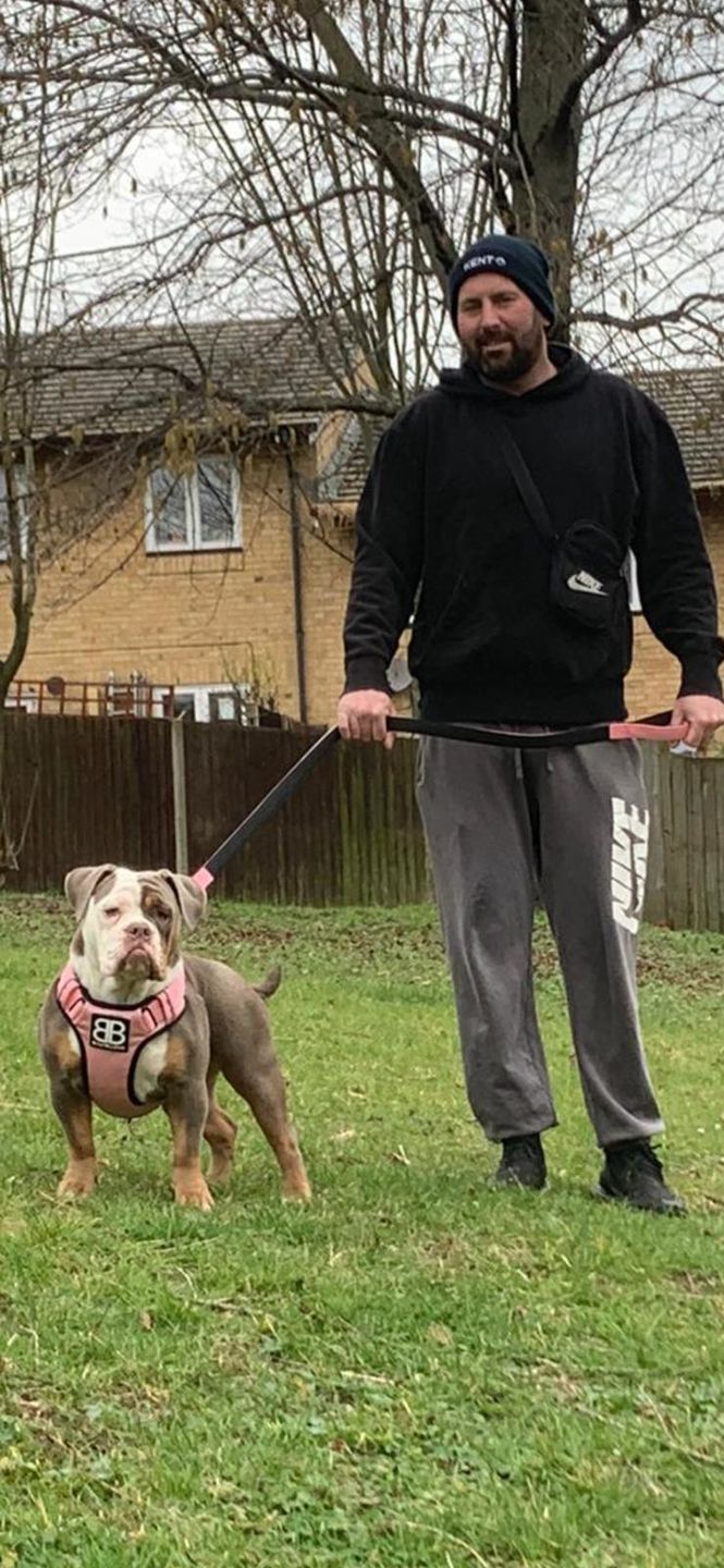 Customer photo review of 1.4m Swivel Combat Lead | Neoprene Lined, Secure Rated Clip with Soft Handle - Pink