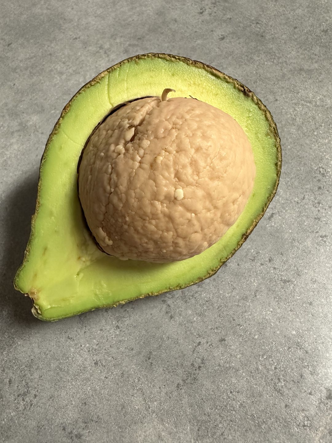 Customer photo review of Avocado Box